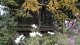 img0082.jpg