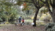 img0088.jpg