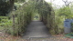 img0090.jpg