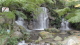img0099.jpg