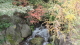 img0102.jpg