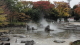 img0104.jpg