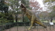 img0110.jpg
