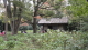 img0119.jpg