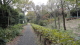 img0126.jpg