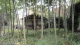 img0127.jpg