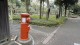 img0129.jpg