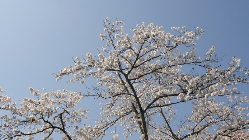 img0004.jpg