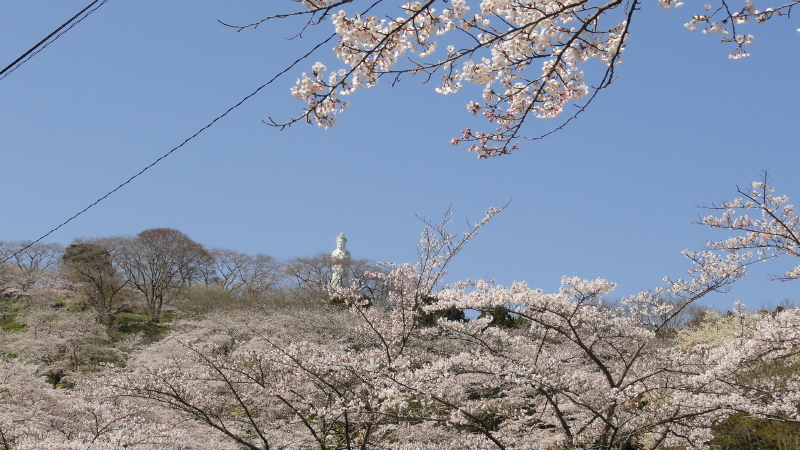 img0008.jpg