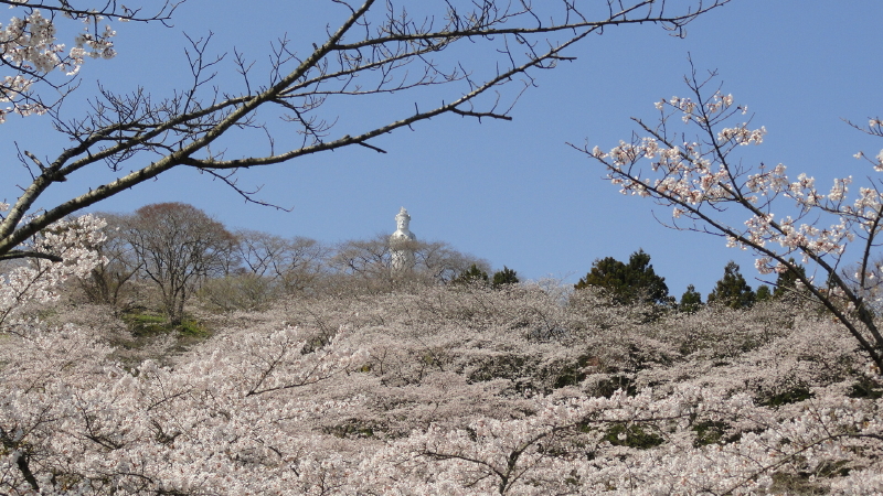 img0010.jpg