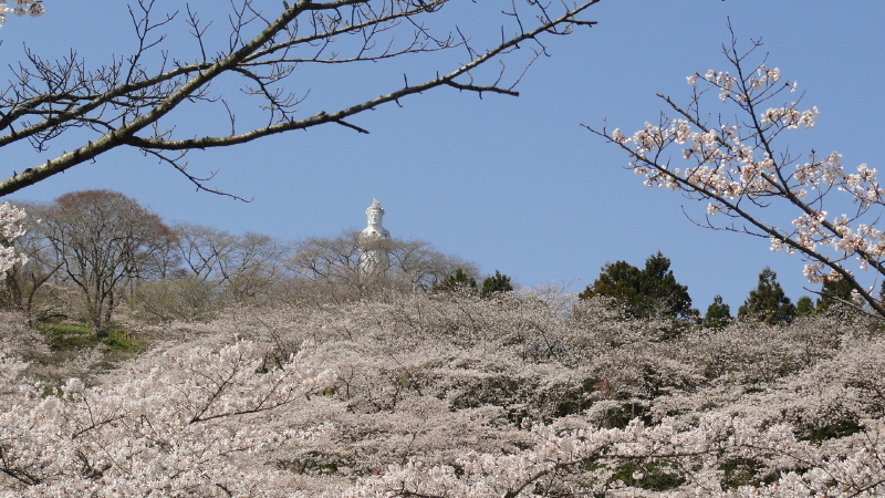 img0011.jpg