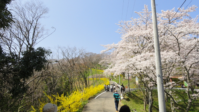 img0015.jpg