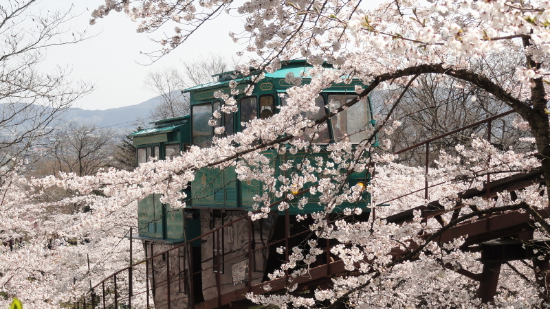 img0020.jpg