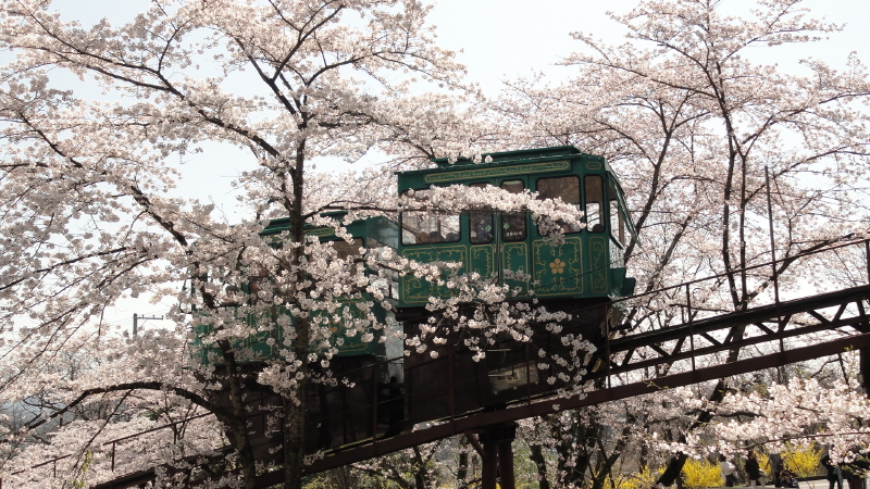 img0021.jpg