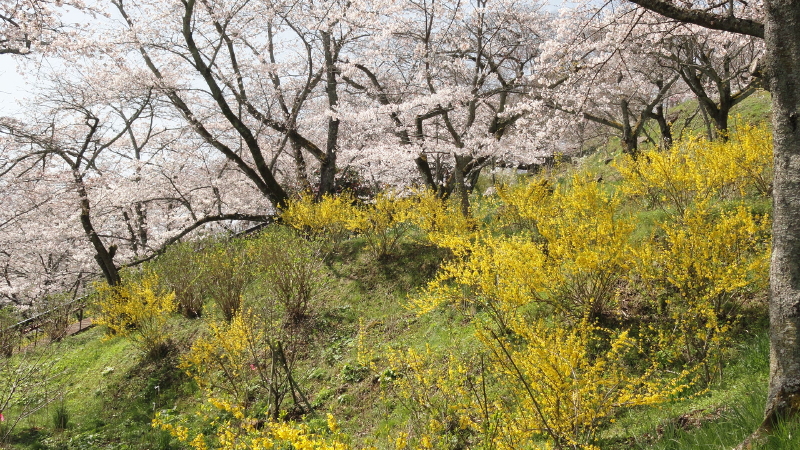 img0024.jpg