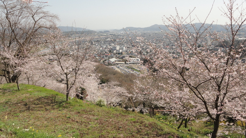 img0029.jpg