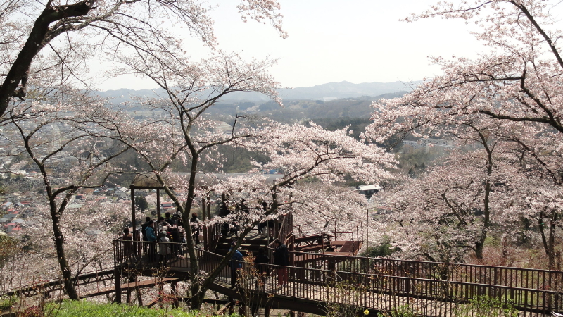 img0030.jpg