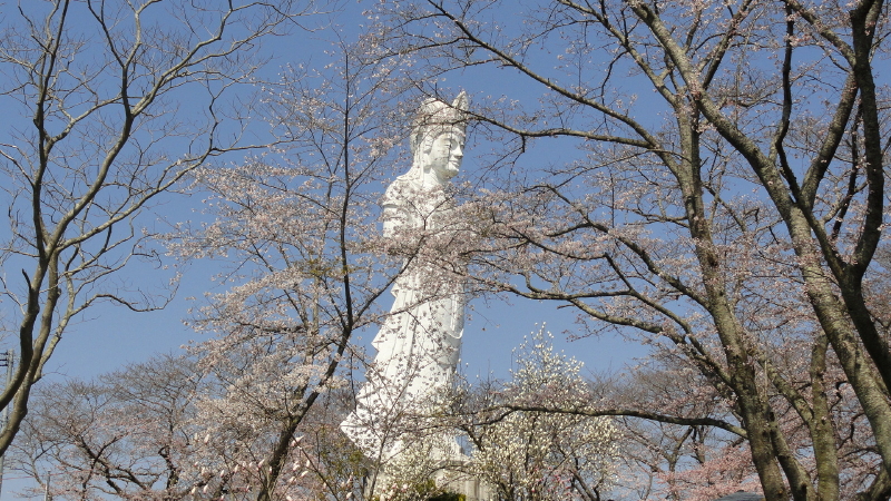 img0031.jpg