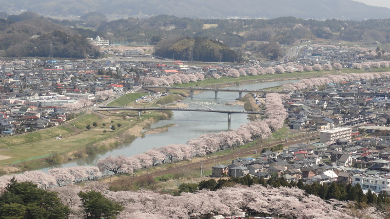 img0037.jpg