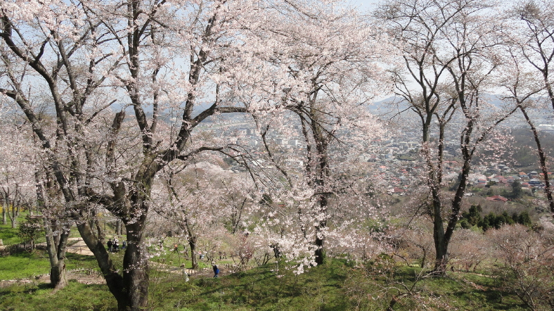 img0047.jpg
