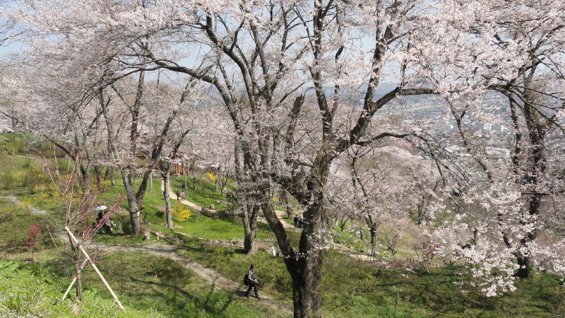 img0048.jpg