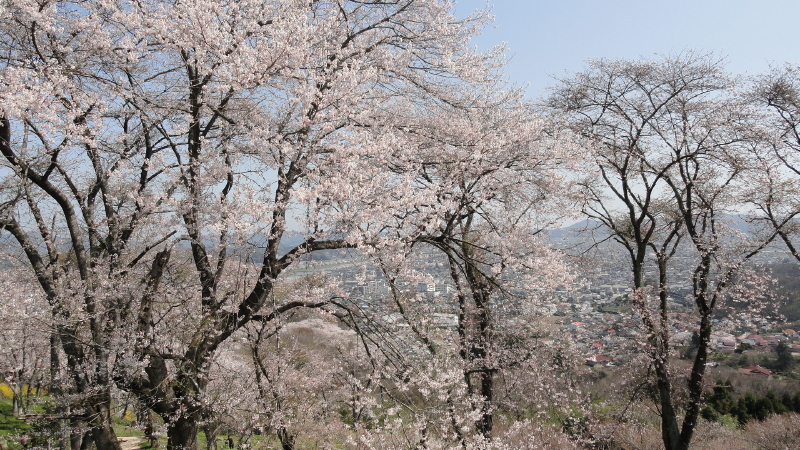 img0049.jpg