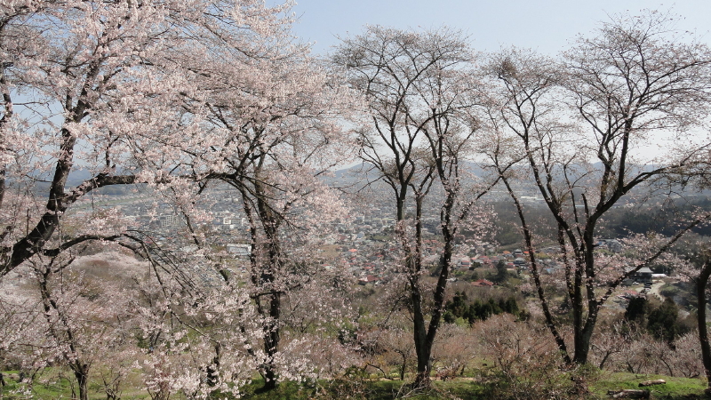 img0050.jpg