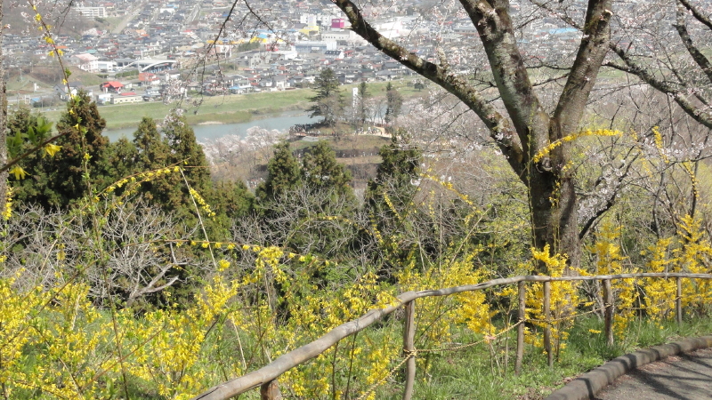 img0061.jpg