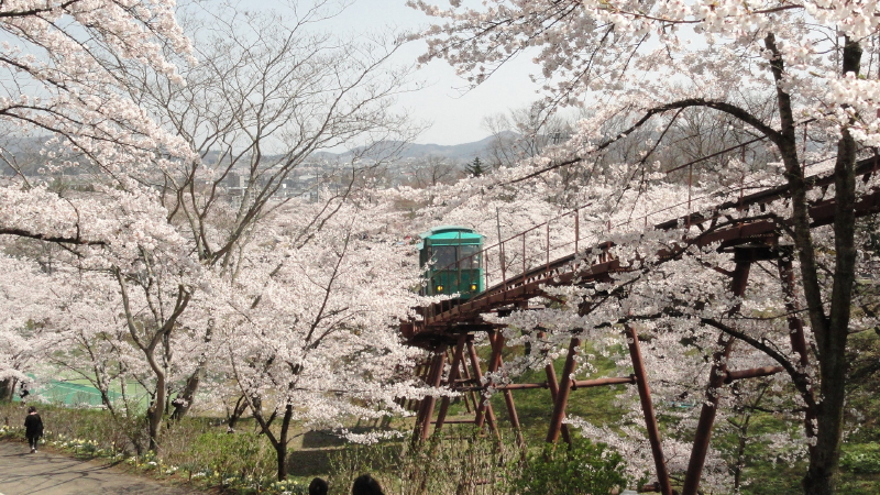 img0063.jpg