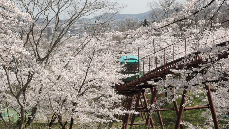 img0064.jpg