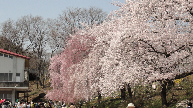 img0065.jpg