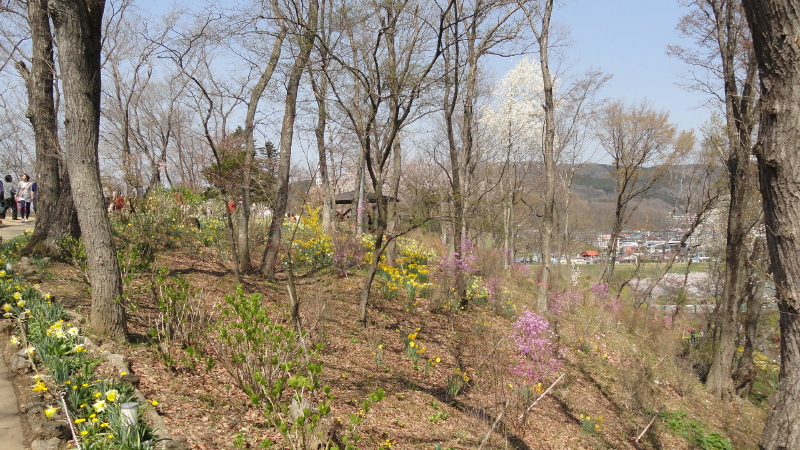 img0068.jpg