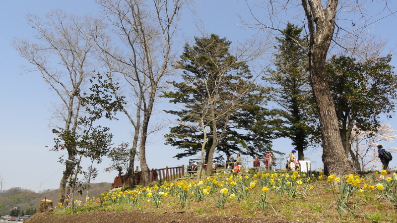 img0079.jpg