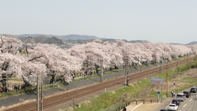 img0080.jpg