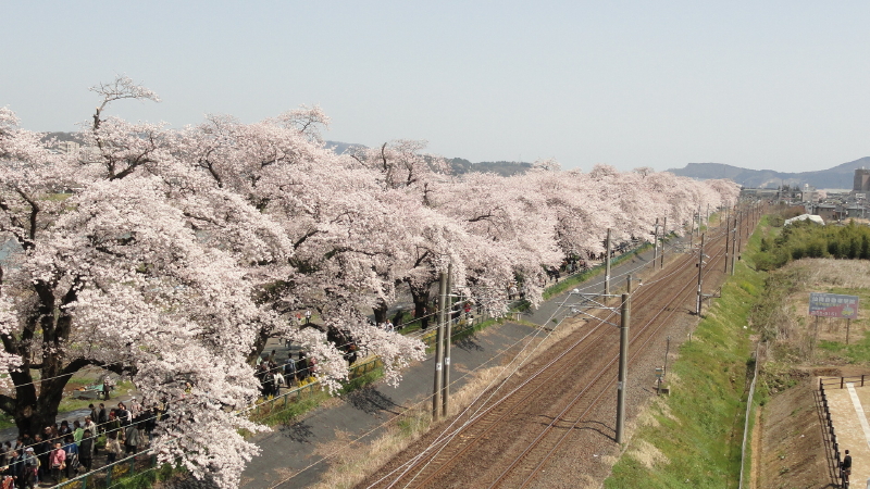 img0082.jpg