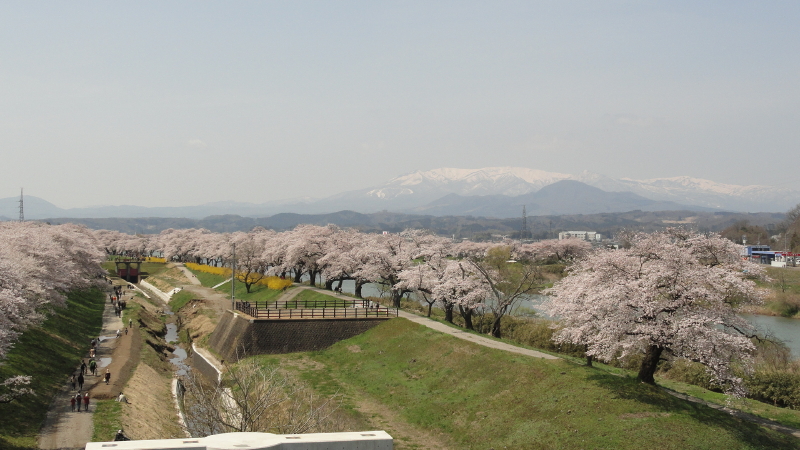img0087.jpg