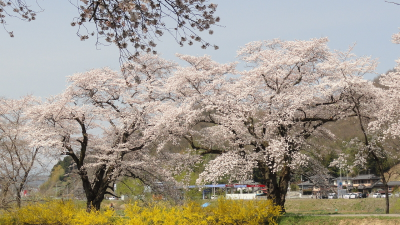 img0090.jpg
