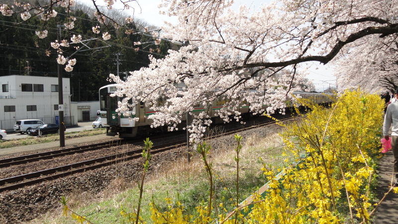 img0091.jpg