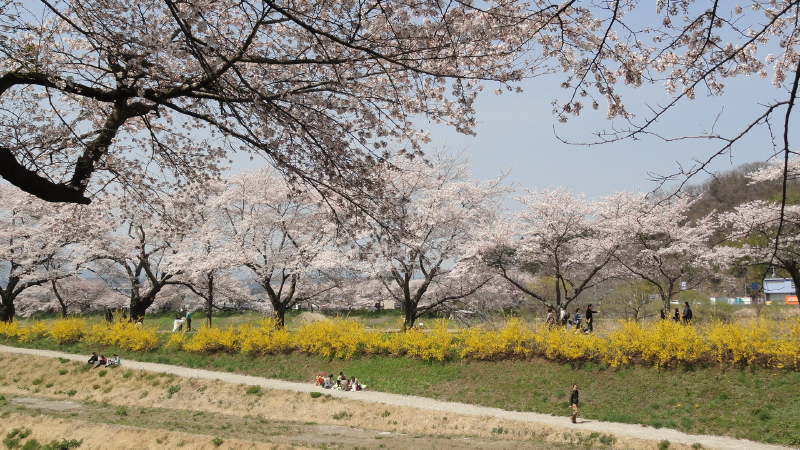 img0092.jpg