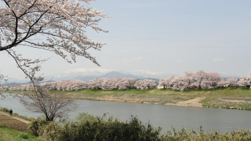 img0097.jpg