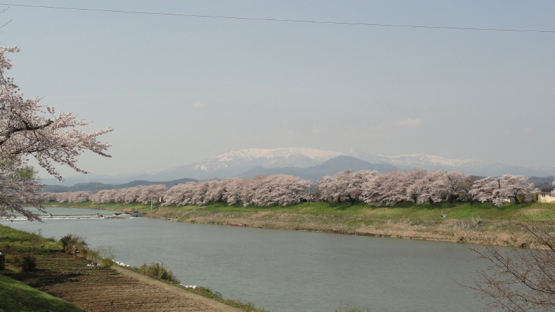 img0098.jpg