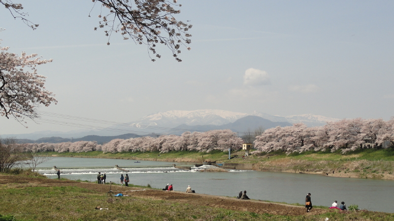 img0099.jpg