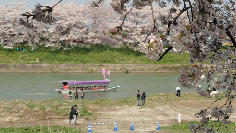 img0105.jpg