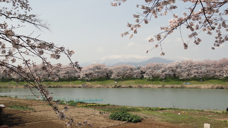img0106.jpg