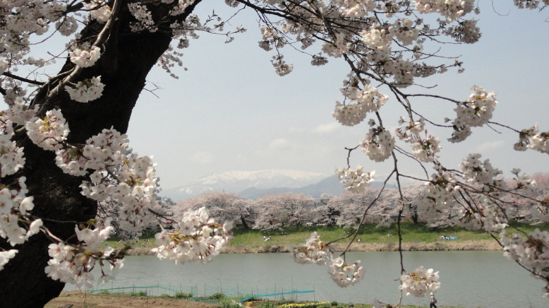img0107.jpg