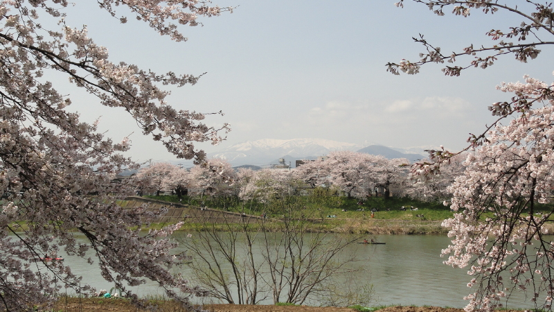 img0108.jpg