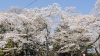 img0003.jpg