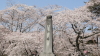 img0005.jpg