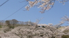 img0008.jpg
