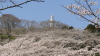img0009.jpg